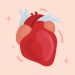 Apa Itu Jantung Koroner? Penyebab, dan Gejalanya