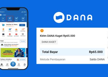 Cara Mengatasi Aplikasi DANA Error