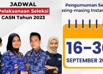 Cara Cek Formasi CPNS dan PPPK 2023