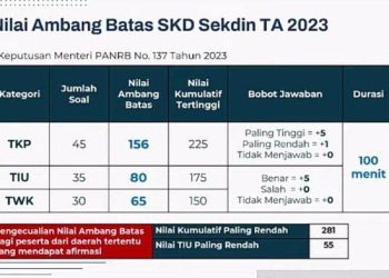 Nilai Ambang Batas Untuk Lulus SKD CPNS 2023