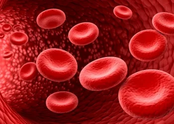 Buah Penambah Darah: Pilihan Makanan Sehat untuk Mengatasi Anemia