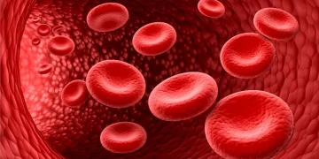 Buah Penambah Darah: Pilihan Makanan Sehat untuk Mengatasi Anemia