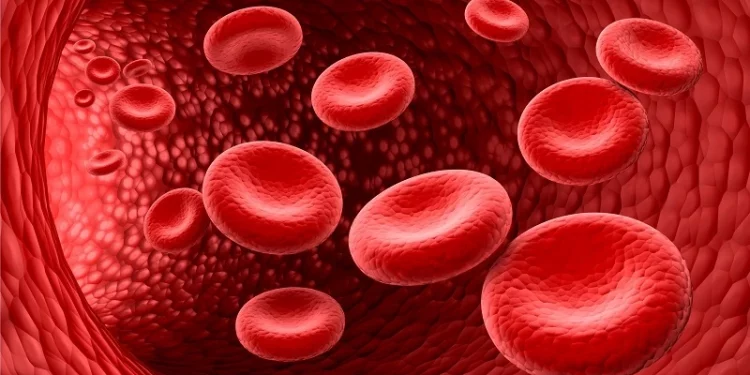 Buah Penambah Darah: Pilihan Makanan Sehat untuk Mengatasi Anemia