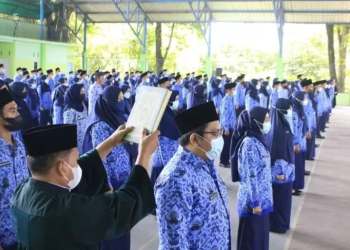Ketentuan Batas Usia Pensiun untuk PNS 2023