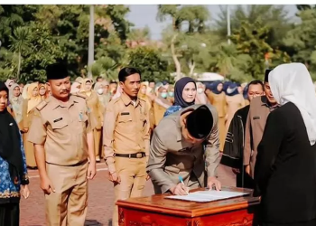 Syarat dan Ketentuan Pengangkatan Honorer Menjadi ASN