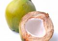 Manfaat Air Kelapa Hijau Bagi Kesehatan Tubuh