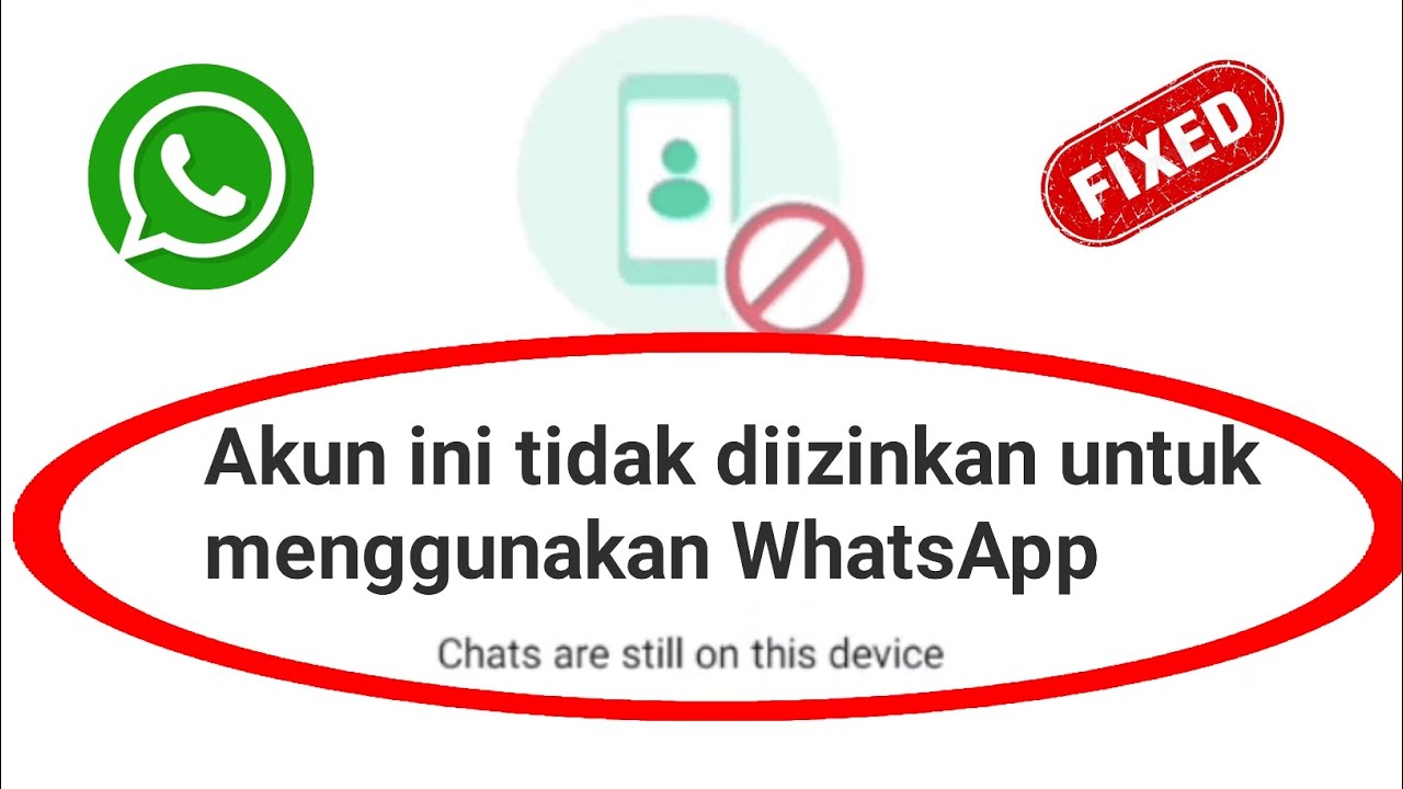 Cara Mengatasi Wa Muncul Notif Akun Ini Tidak Diizinkan Untuk Menggunakan Whatsapp Karena Spam