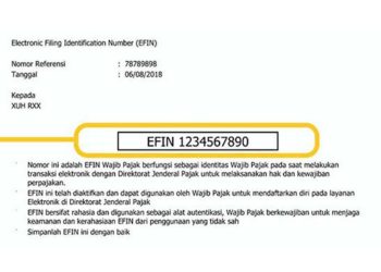 Cara Mengetahui EFIN Secara Online