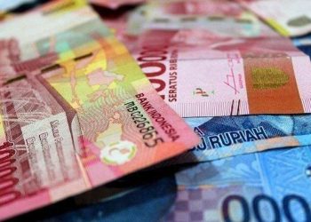 Penjelasan BKN tentang THR dan Gaji ke-13 PNS