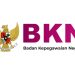 Cara Cek Status Pendataan Honorer di Database BKN
