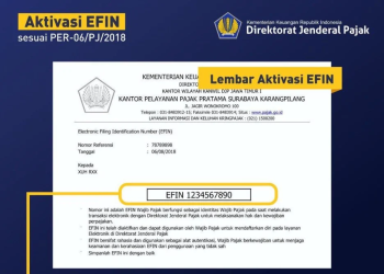 Cara Mengatasi Lupa Nomor EFIN Dengan Mudah