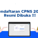 Panduan Lengkap Cara Daftar CPNS 2024