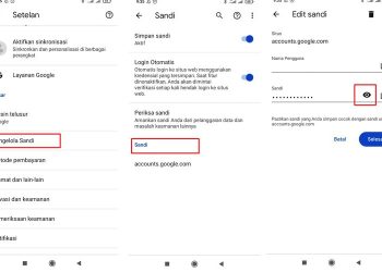 Cara Lihat Password Gmail di Laptop dan HP