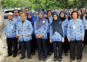 Langkah-langkah dan Persyaratan Daftar CPNS Tahun 2024