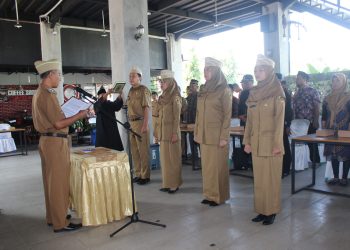 Tugas Pokok dan Fungsi Sekretaris Desa Tahun 2024