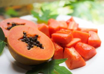 Manfaat Buah Pepaya Bagi Kesehatan