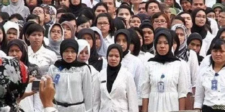 Cara Cek Data Tenaga Honorer di BKN