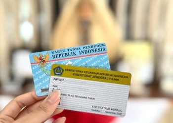 Cara Cek NIK Sudah Jadi NPWP 2024 Secara Online