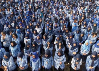 Formasi CPNS dan PPPK 2024 yang Sudah di Umumumkan