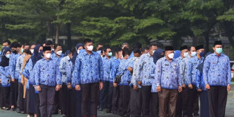 Pendaftaran CPNS 2024 Dibuka Agustus 2024