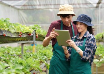 Cara Daftar Petani Milenial dan Gaji yang Didapat