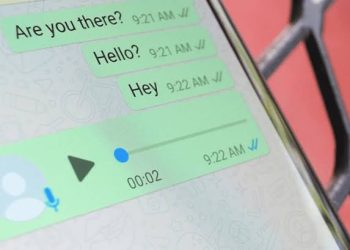 Cara Mengetahui Pesan WA Telah Dibaca Walau Centang Biru Dimatikan