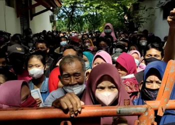 Cara Cek Bansos PKH Lewat HP! Berikut Caranya
