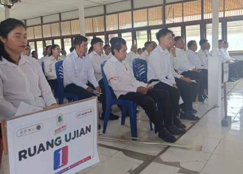 Cara Cek Pengumuman Kelulusan PPPK 2024 Tahap 2