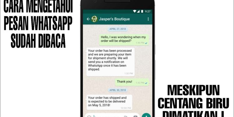 Cara Mengetahui Pesan WA Sudah Dibaca Walau Centang Biru Mati