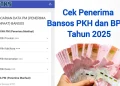 Cek NIK Penerima PKH dan BPNT Juli 2025