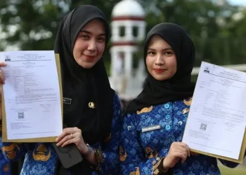 Jadwal dan Cara Cek Pengusulan PPPK Paruh Waktu 2025