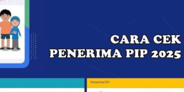Cara Cek PIP 2025 di Google Dengan Mudah
