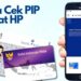 Cara Cek PIP Cepat dan Mudah Lewat HP