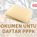 Cara dan Syarat yang Harus Dipersiapkan Untuk Mendaftar PPPK