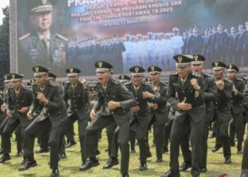 Daftar Rekrutmen Perwira PK TNI 2026 Semua Jurusan
