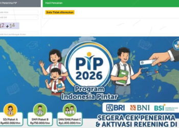 Begini Cara Cek Status PIP 2026 Secara Online