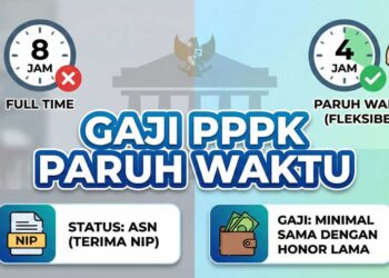 Nominal Gaji PPPK Paruh Waktu 2026 dan Hak Tunjangan