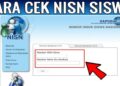 Praktis dari HP! Cara Mengetahui NISN Siswa Secara Online