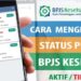 Cara Cek BPJS Kesehatan Aktif atau Tidak, Berikut Cara Mudahnya