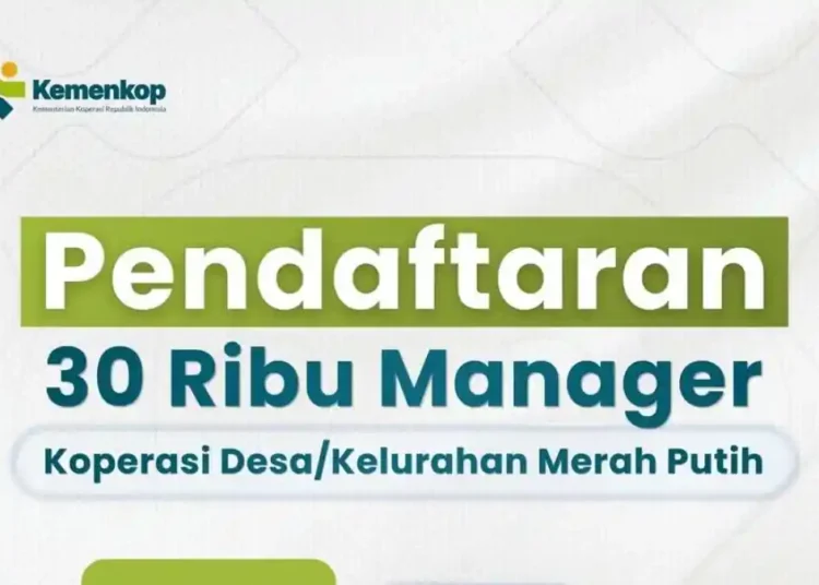Lowongan Manager Kopdes Merah Putih 2026: Cara Daftar dan Syaratnya