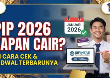 Link Cek PIP 2026 dan Cara Menggunakannya