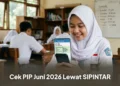 Cara Cek PIP 2026 Secara Online, Begini Caranya