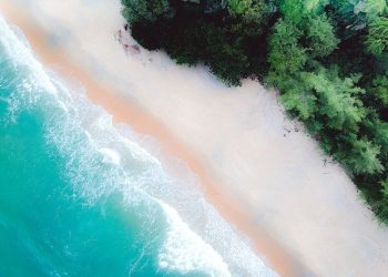 Manfaat Ekosistem Pantai
