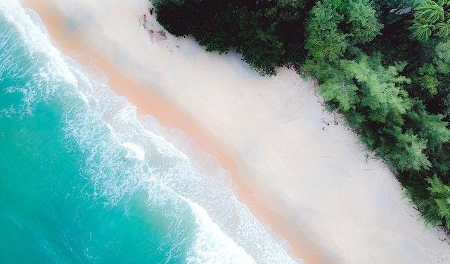 Manfaat Ekosistem Pantai