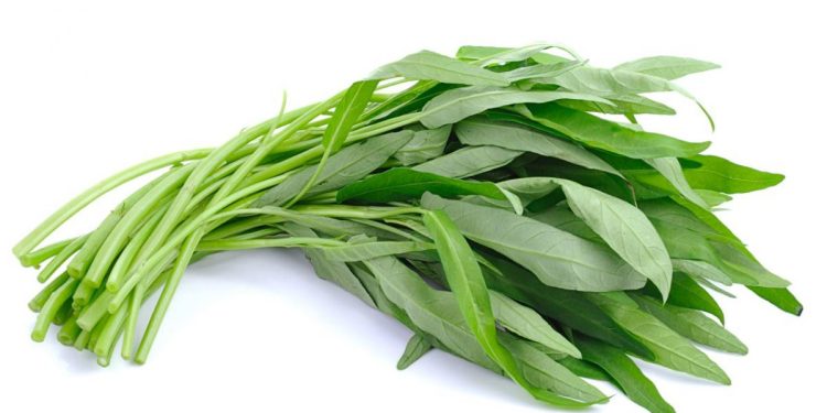 Kangkung: Cara mengolah, Manfaat dan Nutrisinya
