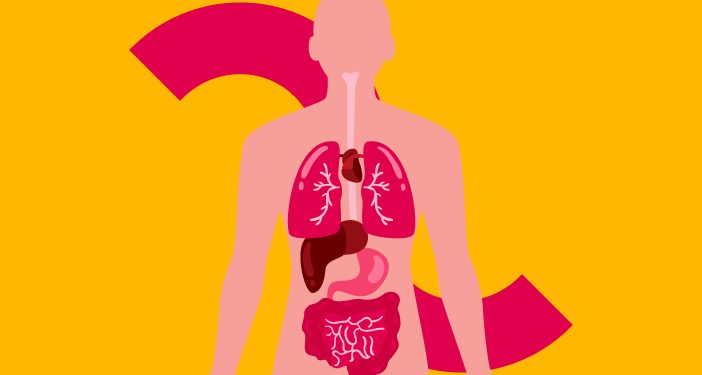 Metabolisme Pengertian, Tahapan, Jenis, Peran dan Faktornya