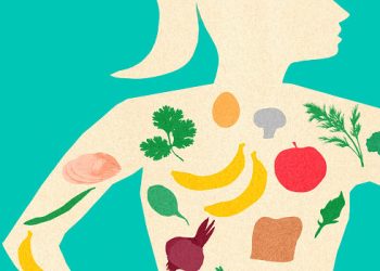 Metabolisme Pengertian, Ciri, Proses, dan Aspek Pentingnya