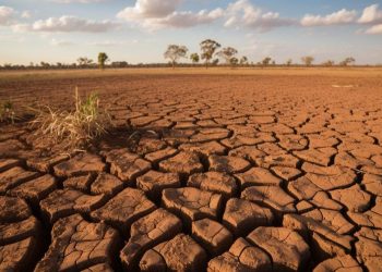 Apa Itu El Nino? Dampak dan Cara Mengantisipasinya
