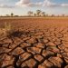 Apa Itu El Nino? Dampak dan Cara Mengantisipasinya