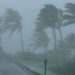 Apa Itu La Nina? Pengertian, Penyebab, Dampak, dan Pencegahan